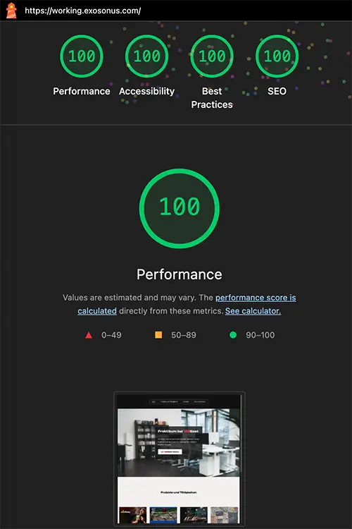 Web-Performance der Startseite mit perfekten Punktzahlen von 100 für Performance, Barrierefreiheit, Best Practices und SEO.